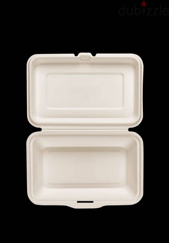 Compostable disposable plates 1