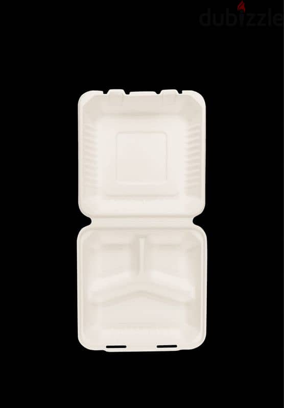 Compostable disposable plates 2