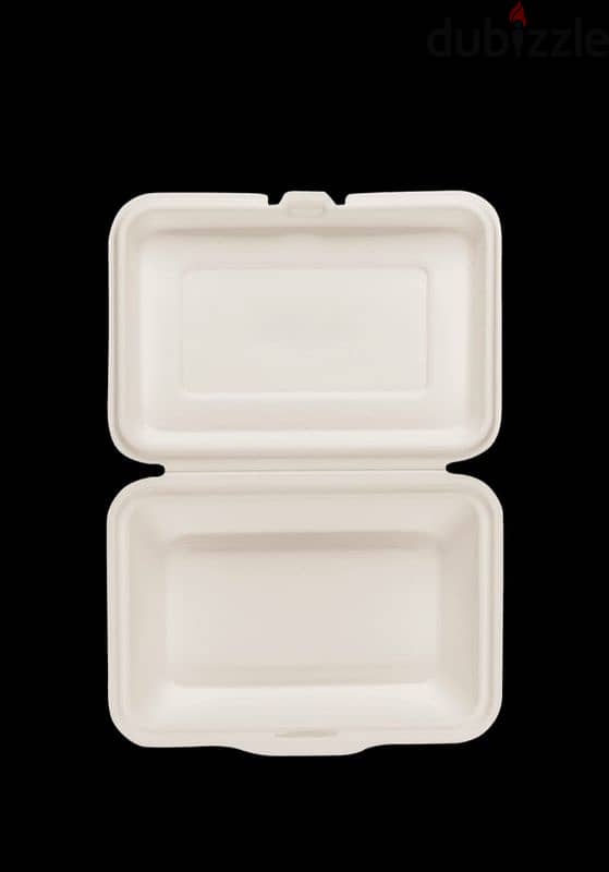 Compostable disposable plates 5