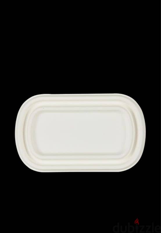 Compostable disposable plates 10