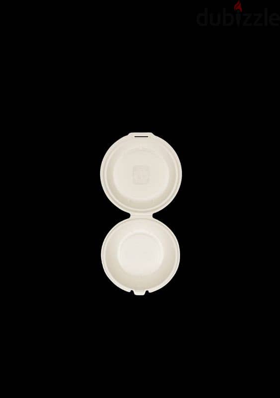 Compostable disposable plates 13