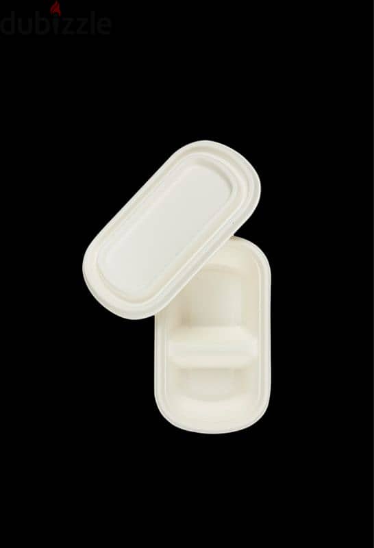 Compostable disposable plates 14