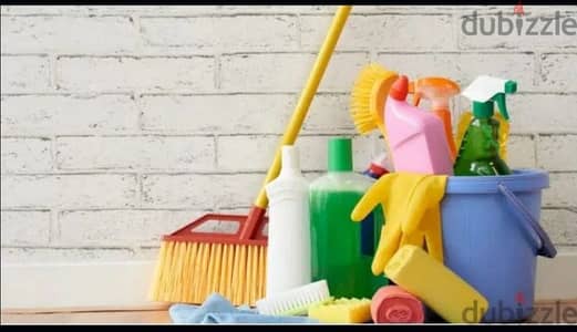 professional house, villa, building, office, school cleaning service