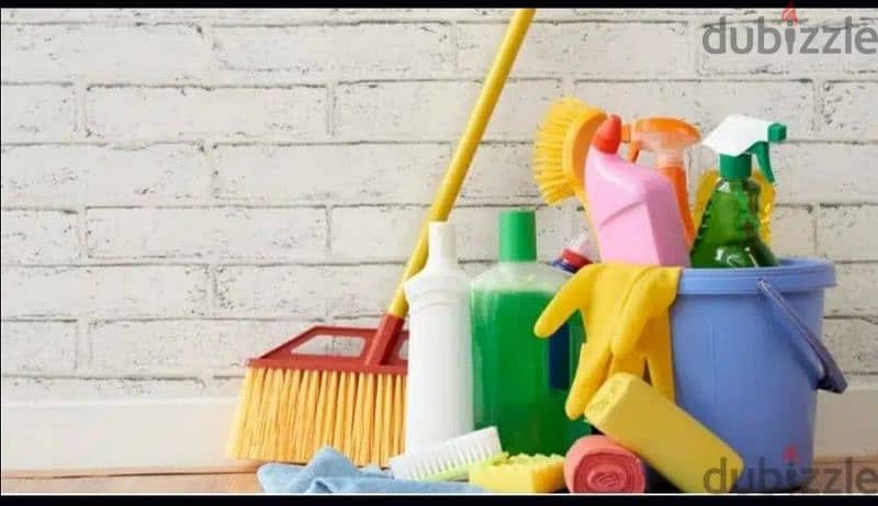 professional house, villa, building, office, school cleaning service 0