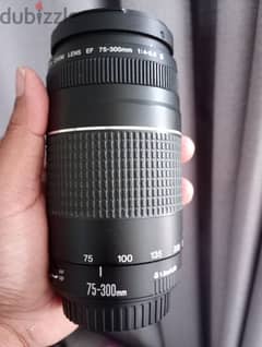 canon 75-300 zoom luns for sale 0