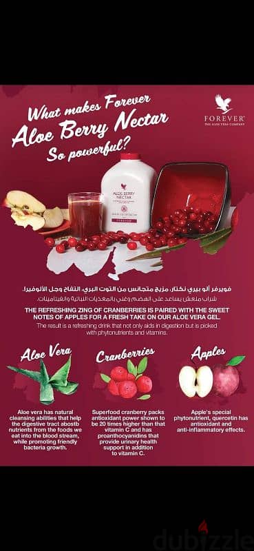 aloe berry nectar 6