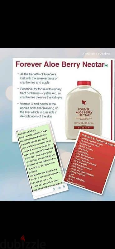 aloe berry nectar 11