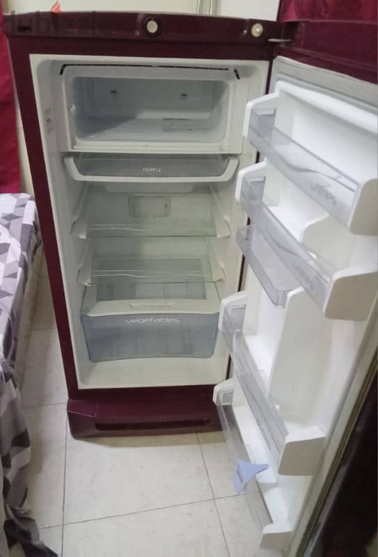 Fridge Perfect coolong cal 79146789 5