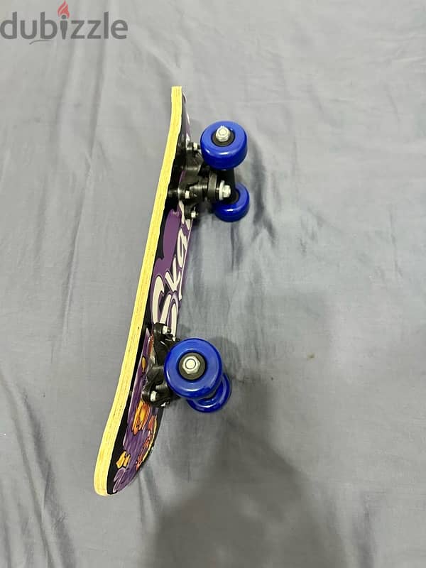 Skate Board 1