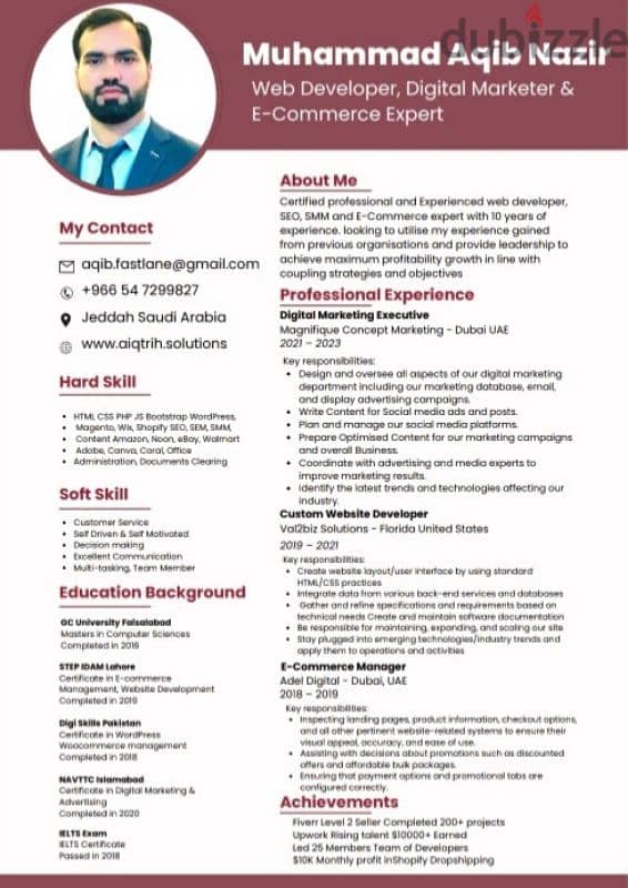 Professional CV 0