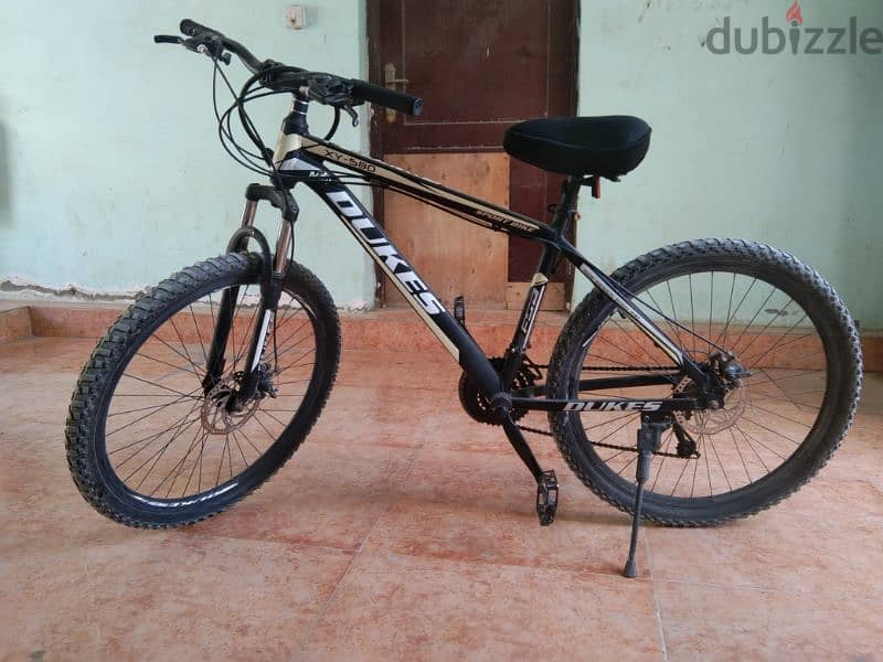 mountain dukes bicycle 3