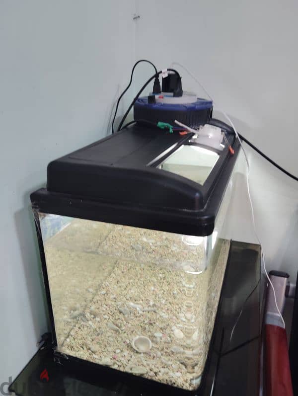 fish tang for sale 0