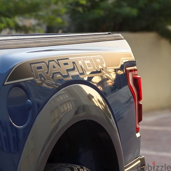 Ford Raptor 2020 0