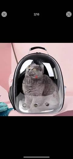 back pack pets carrier 0