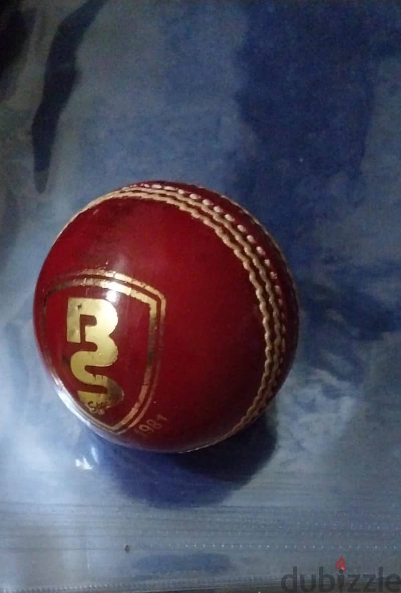 New Cricket Items are on sale at heavy Discounted Price 6