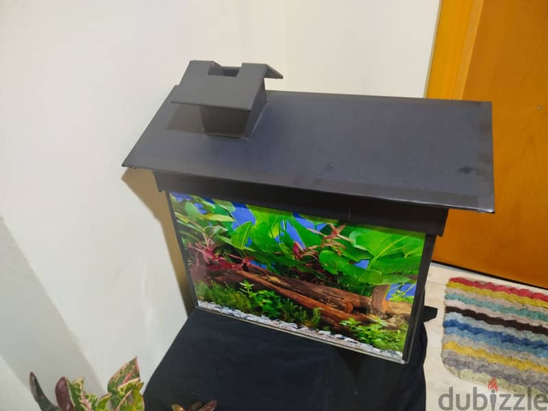 Fish tank for sale 1