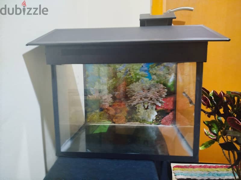 Fish tank for sale 2