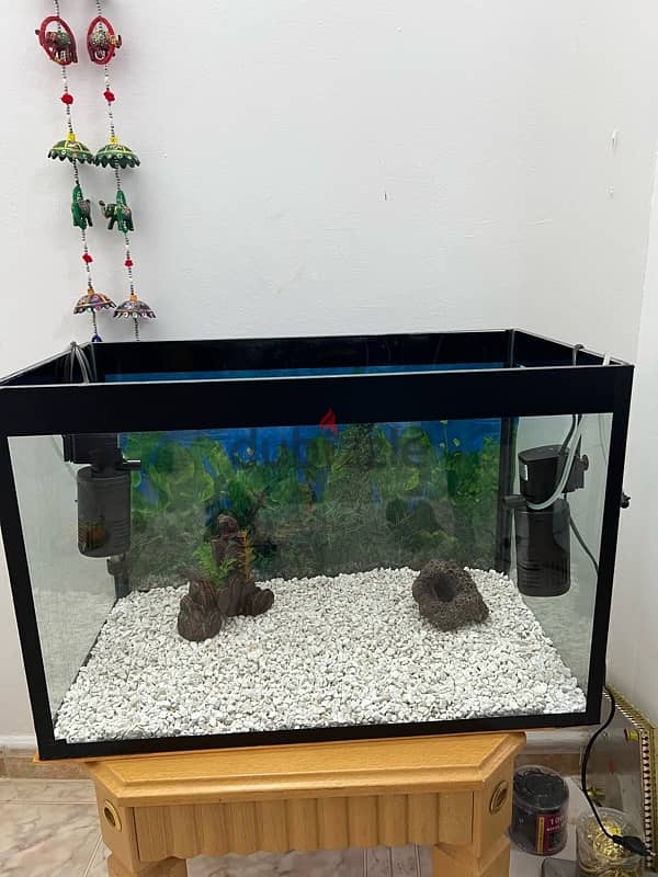 Beautiful Aquarium for Sale 2