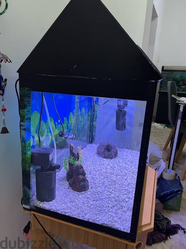 Beautiful Aquarium for Sale 3