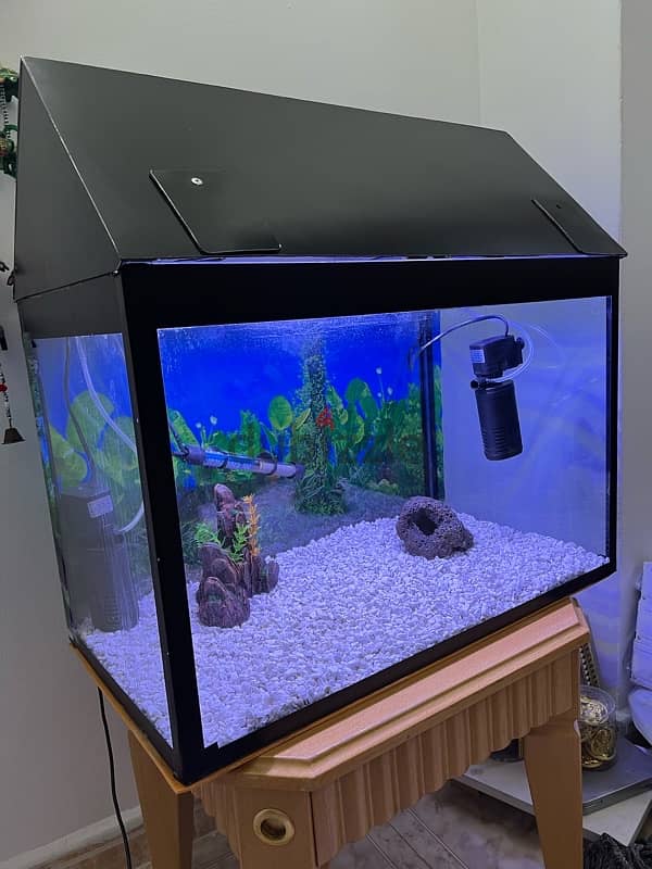 Beautiful Aquarium for Sale 6