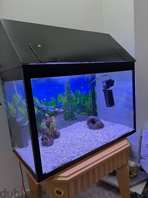 Beautiful Aquarium for Sale 7