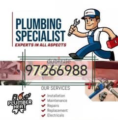 ELECTRIC AND PLUMBING SERVICES 0