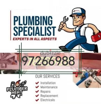 ELECTRIC AND PLUMBING SERVICES