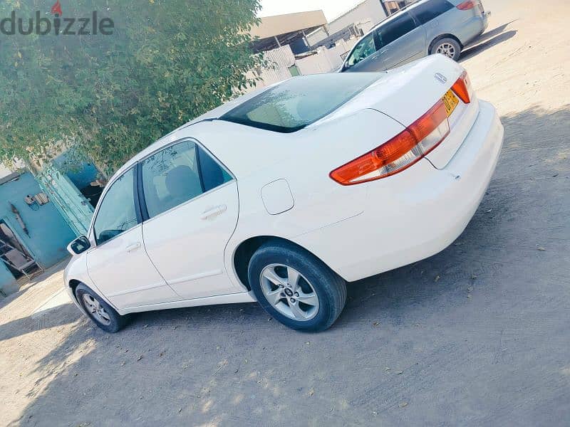 Honda Accord For Rent 4