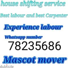 Mover house shifting 0