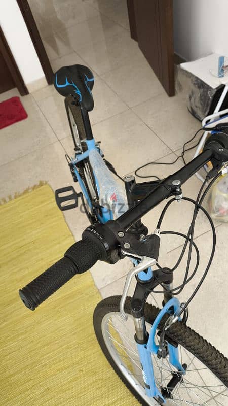 bike new blue adult size 10