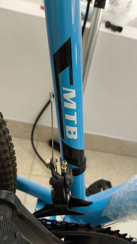 bike new blue adult size 13