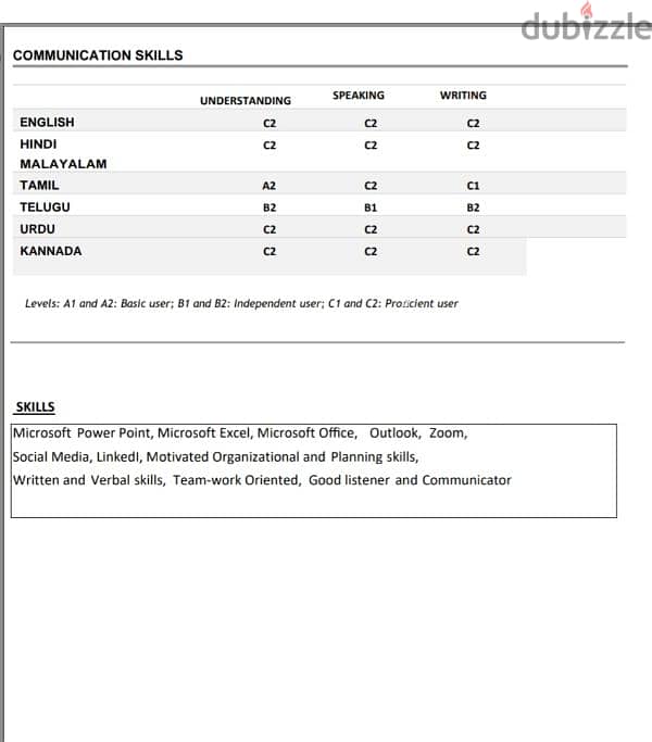 sales BDM with digital market research 2