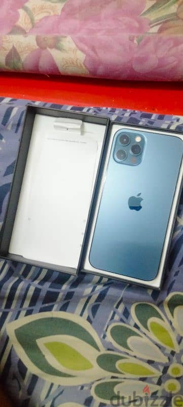 i phone 12 pro