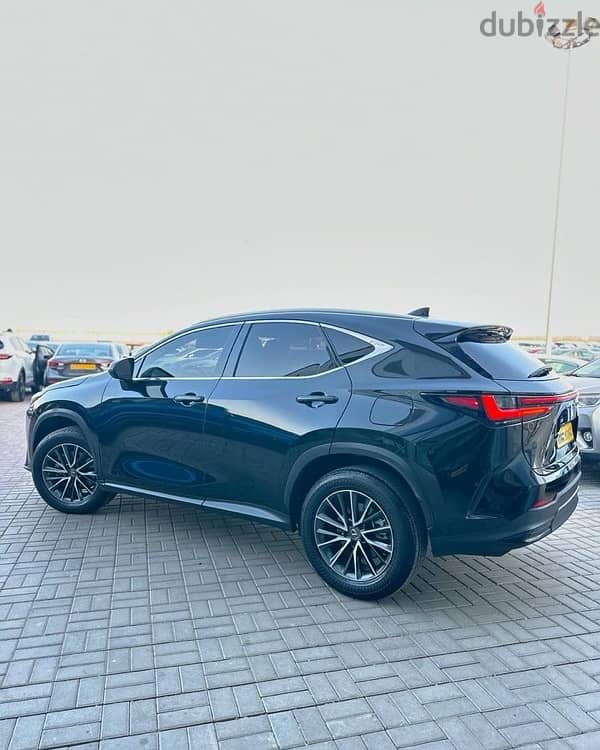 Lexus NX 250 2023 3