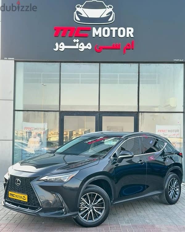 Lexus NX 250 2023 4