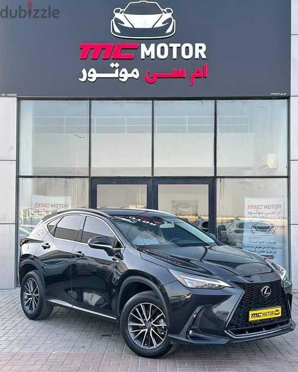 Lexus NX 250 2023 5