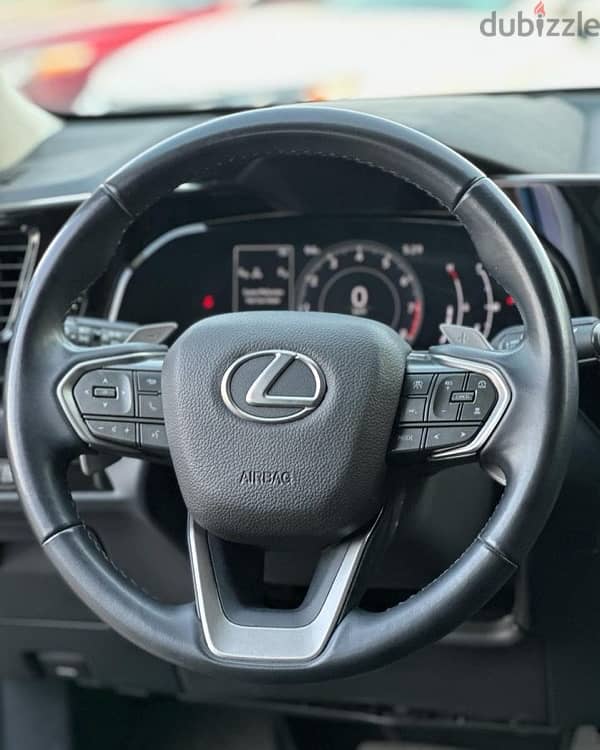 Lexus NX 250 2023 6