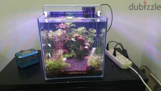 Fish aquarium 0