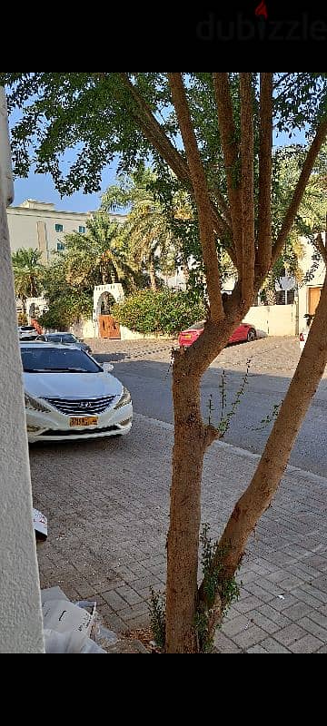 125 omr studio in the villa in alkhuwair 1