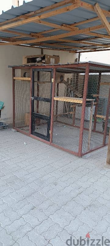 Catio For Cats 1