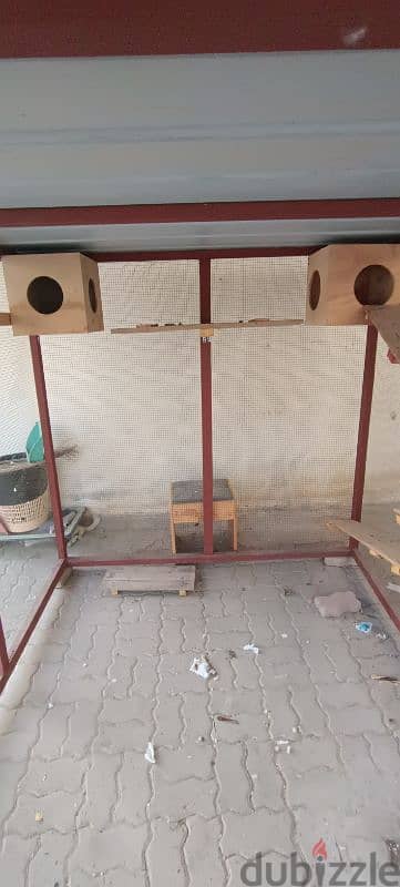 Catio For Cats 4