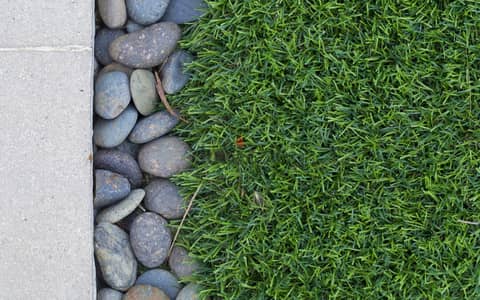 Premium Quality Artificial grass