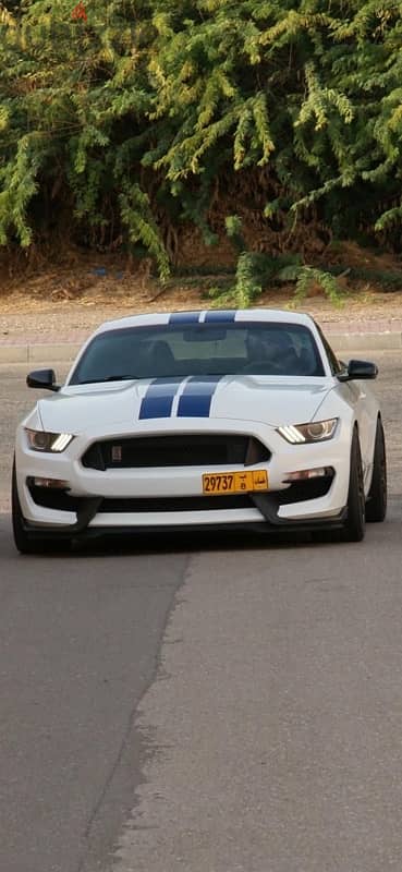 Ford Shelby GT350 2017 11