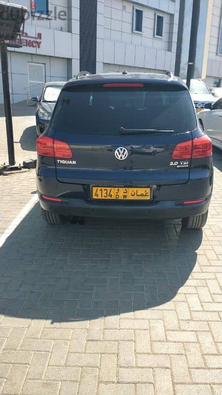 Volkswagen Tiguan 2013 6