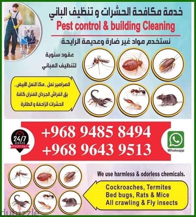 Muscat general pest control service, 9643 9513