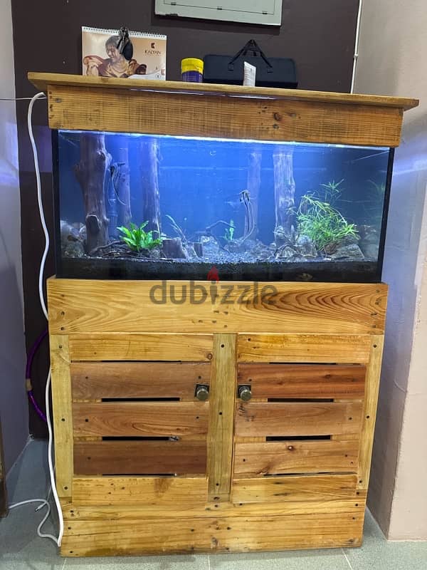 Jungle scapped Fish tank with all accessories 0