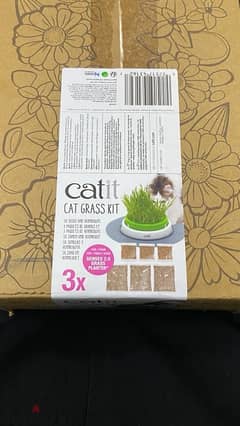 Cat Grass 0