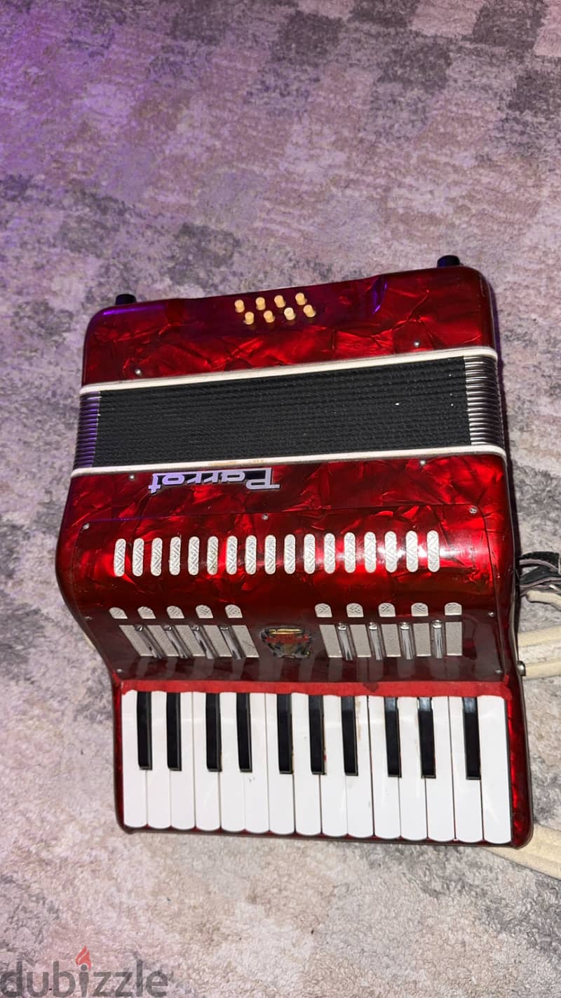 Parrot accordion 1