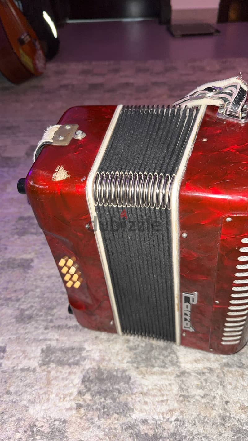 Parrot accordion 4