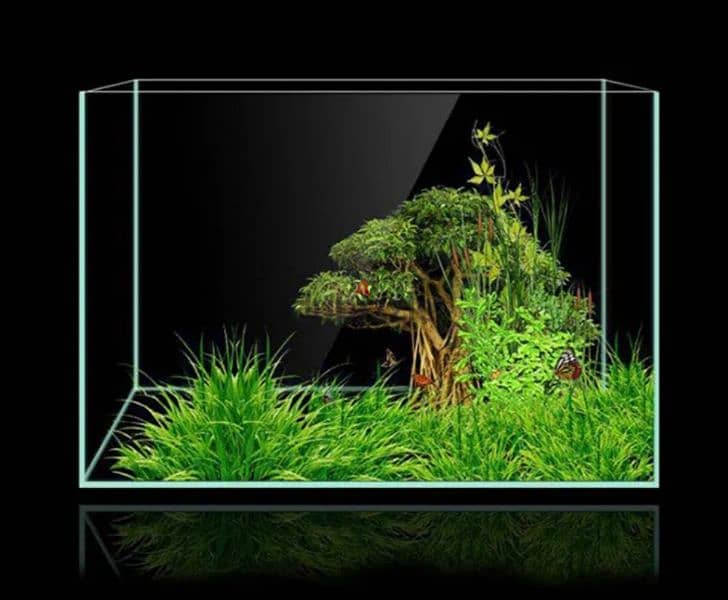 we making any types of aquarium tanks watsapp me 95286803 1